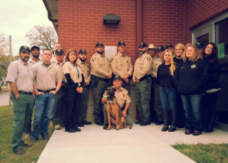 Sheriff's Office