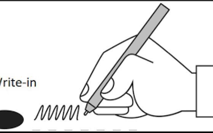 write-in